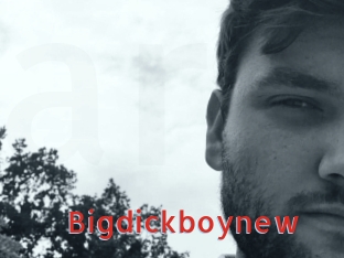 Bigdickboynew