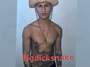 Bigdicksnake