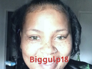 Biggulp18