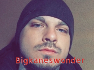 Bigkaneswonder