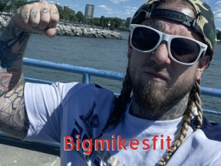 Bigmikesfit