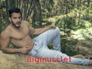 Bigmusclet