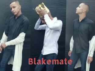 Blakemate