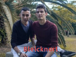Bleicknort