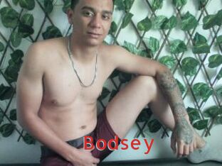 Bodsey