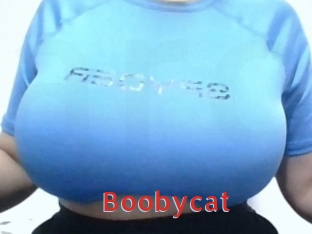 Boobycat