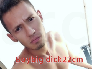 Boybig_dick22cm