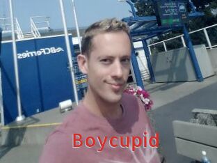 Boycupid