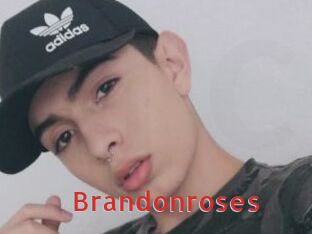 brandonroses Archive DVD NET