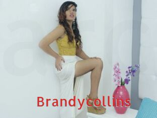 Brandycollins