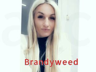 Brandyweed