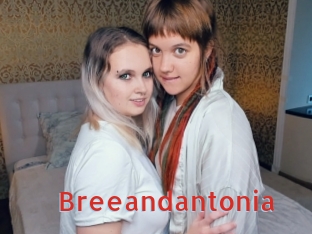 Breeandantonia