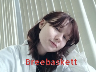 Breebaskett