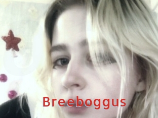 Breeboggus