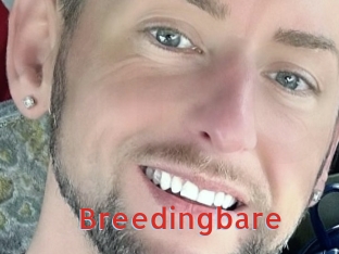 breedingbare Archive DVD NET