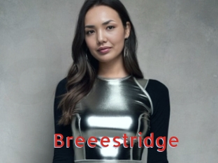 Breeestridge
