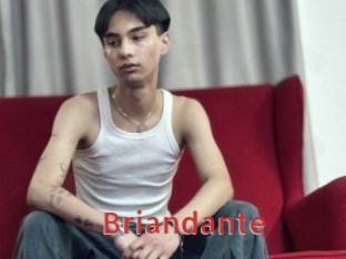 briandante Archive DVD NET