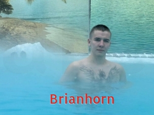 Brianhorn