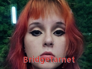 Bridgetarnet