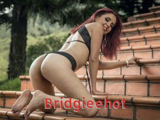 Bridgieehot