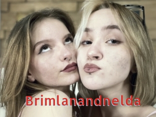 Brimlanandnelda