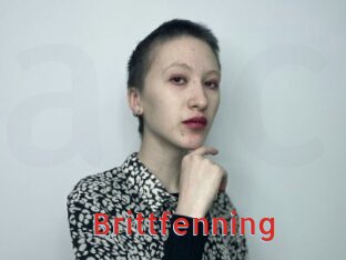 Brittfenning