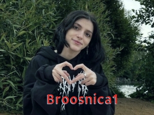 Broosnica1