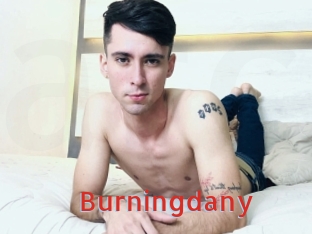 Burningdany