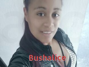 Bushalice