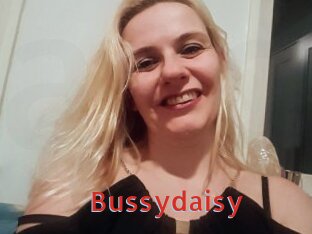 Bussydaisy