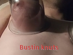 Bustin_knuts