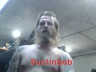 Bustinbob