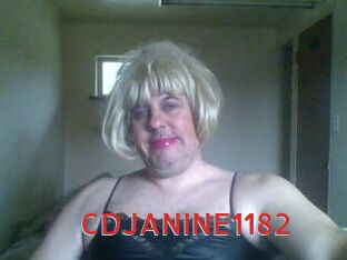 CDJANINE1182