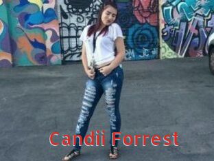 Candii_Forrest