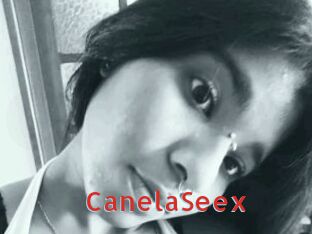 CanelaSeex Archive DVD NET