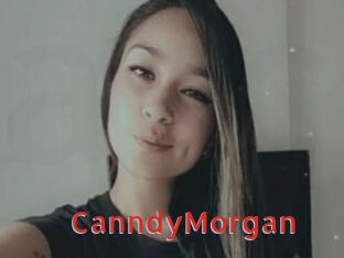 CanndyMorgan Archive DVD NET
