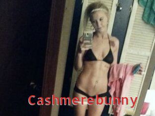 Cashmerebunny