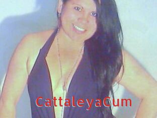 CattaleyaCum