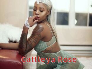 Cattleya_Rose