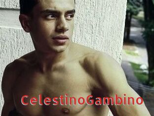 CelestinoGambino