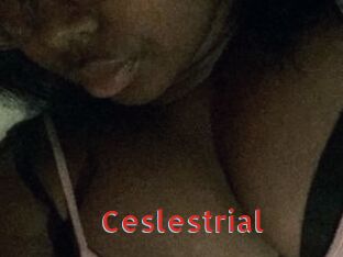 Ceslestrial