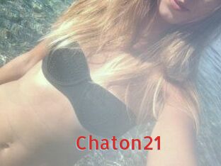 Chaton21