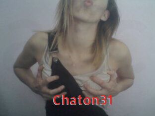 Chaton31