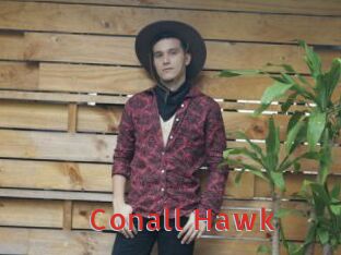 Conall_Hawk