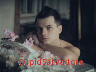 CupidSalvadore