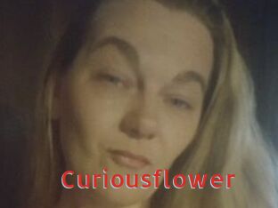 Curiousflower