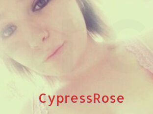 Cypress_Rose