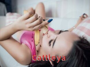 _Cattleya