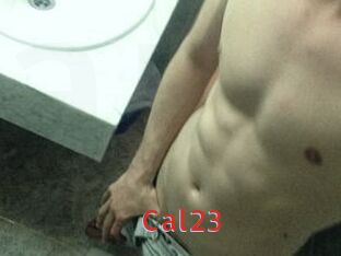 Cal23