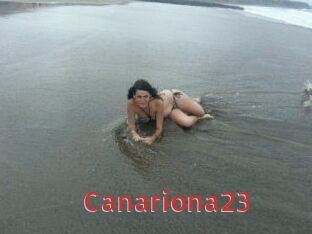 Canariona23